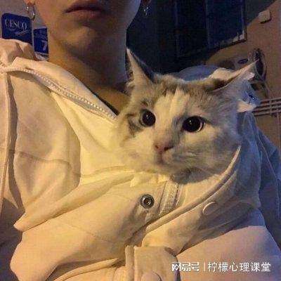 上古卷轴刀锋手游果盘版下载